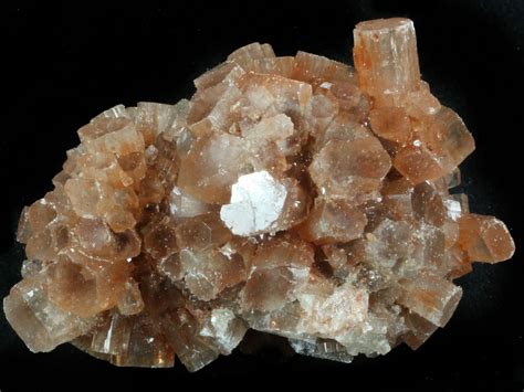 fossilera minerals